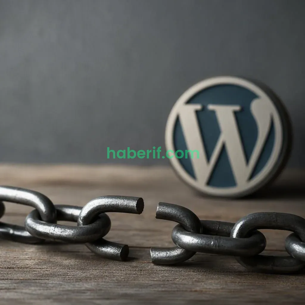 WordPress’te 404 Hatası Nasıl Çözülür? Kırık Bağlantıları Bulma ve Kalıcı Yönlendirme Rehberi